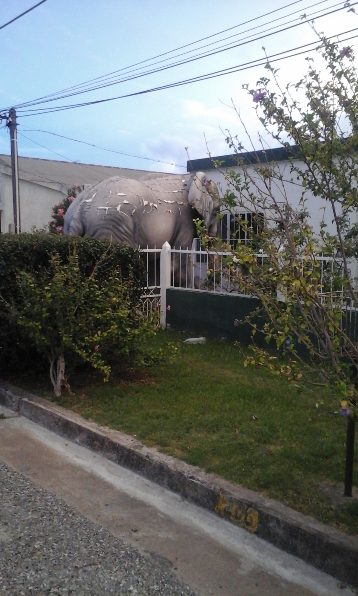 La vecina y el elefante